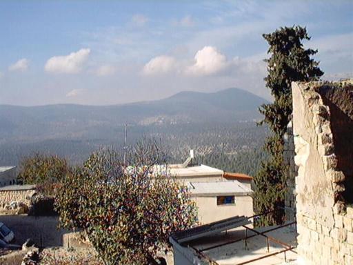 Miron from Tzfat